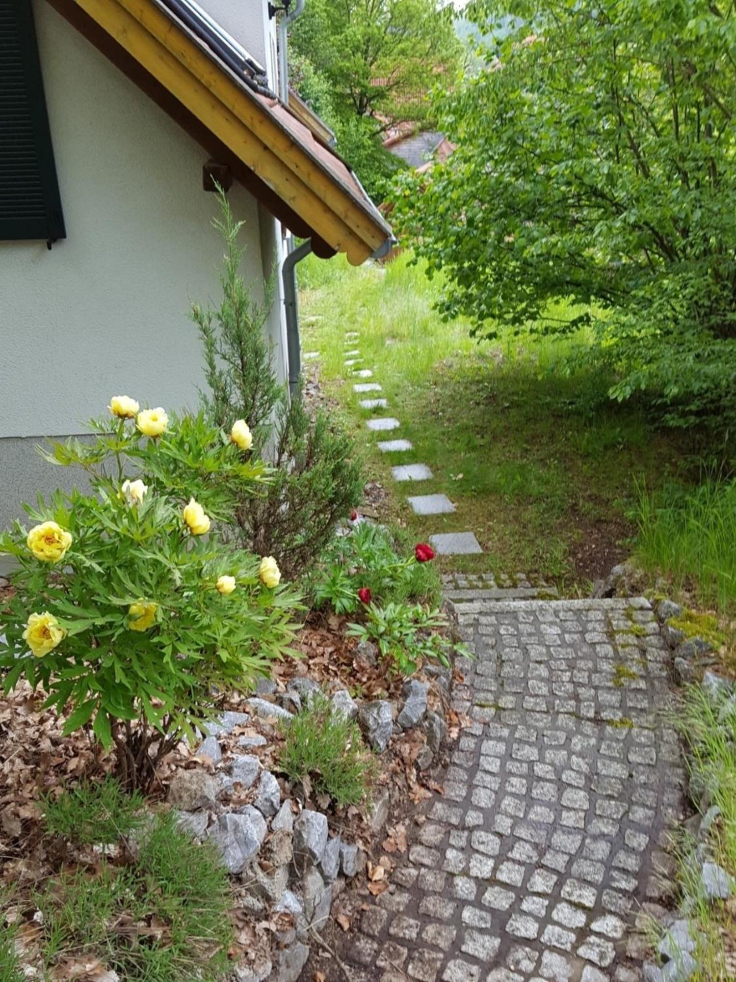 Gartenwohnung Bodetalblick Thale Exterior foto